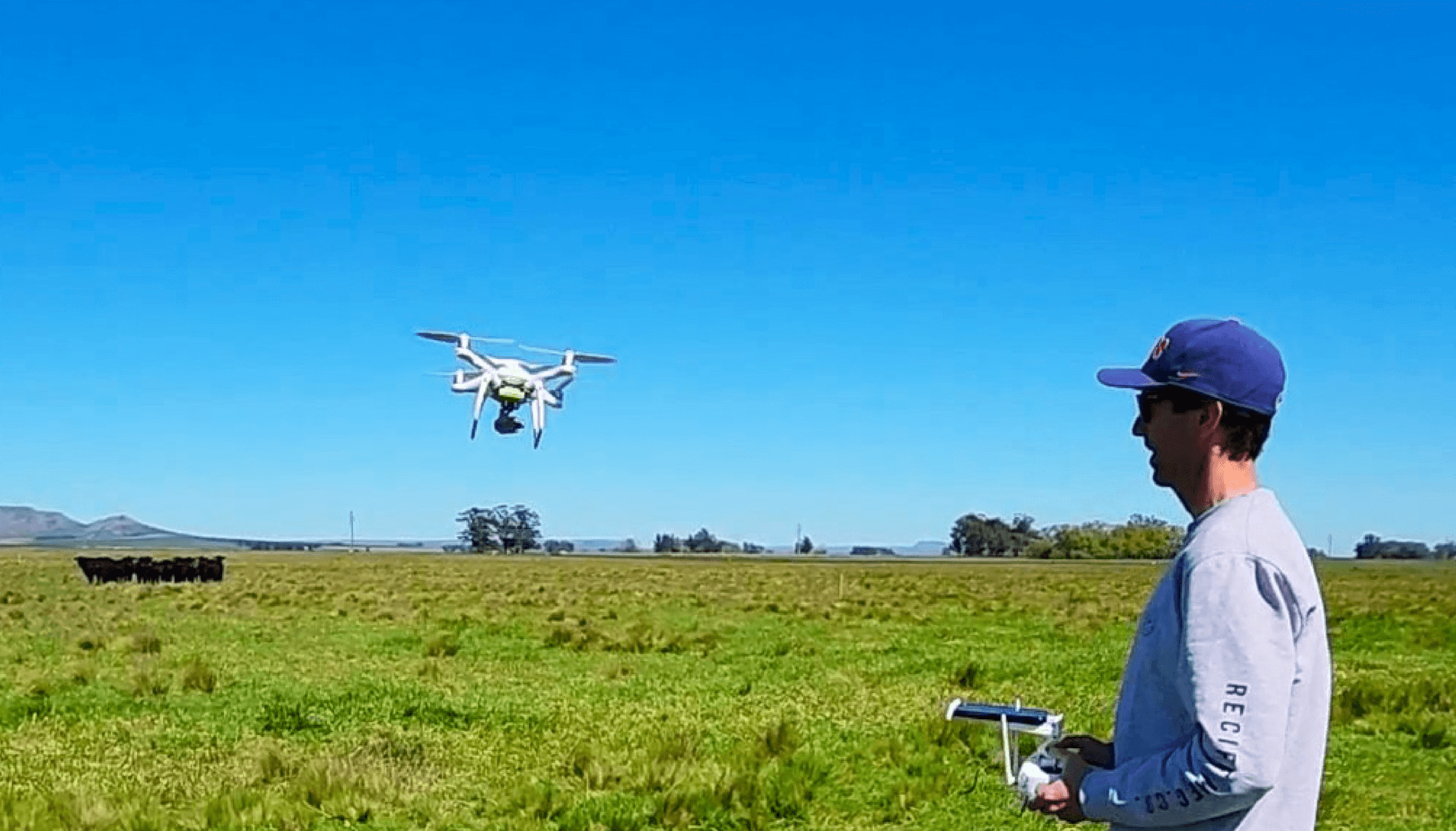 De Mar del Plata a Silicon Valley: Pastech, la startup que transforma la ganadería con ... thumbnail