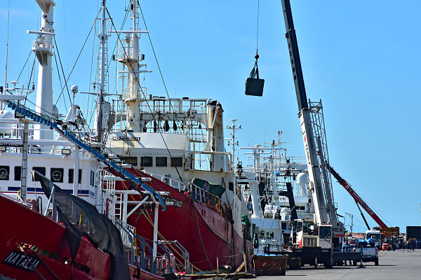 Puerto de Mar del Plata