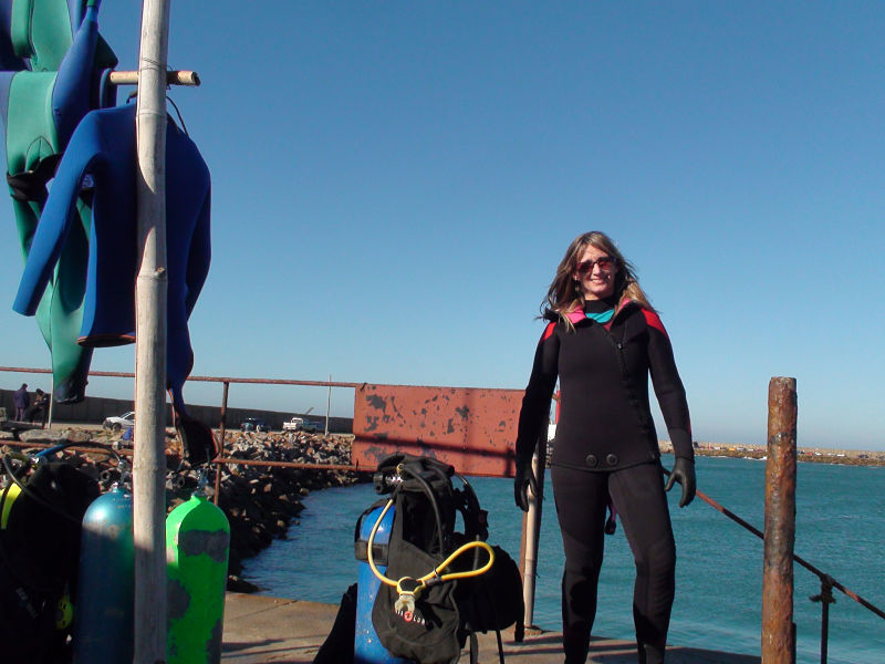 Gabriela Pujol caballitos de mar