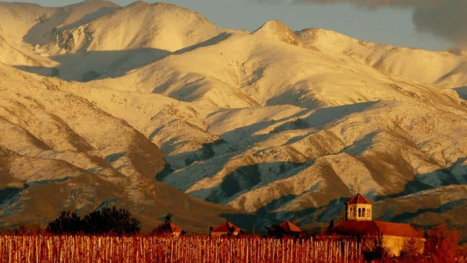 vinos argentinos