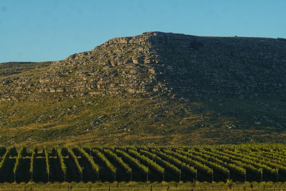 Puerta del Abra Los vinos de Balcarce