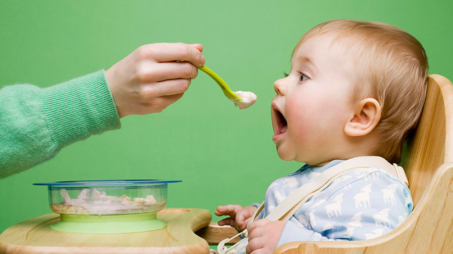 alimentación nutrición