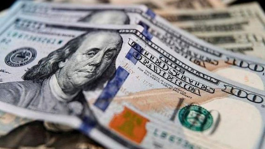 dolarización dólar