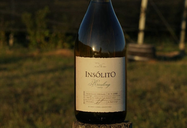 Insólito Riesling Bodega Puerta del Abra Vinos de Balcarce