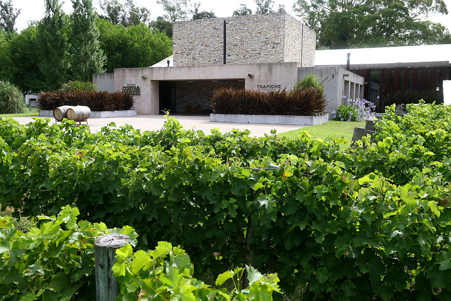 Costa y Pampa vinos marplatenses Trapiche Chapadmalal