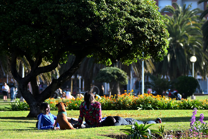 infraestructura verde de Mar del Plata