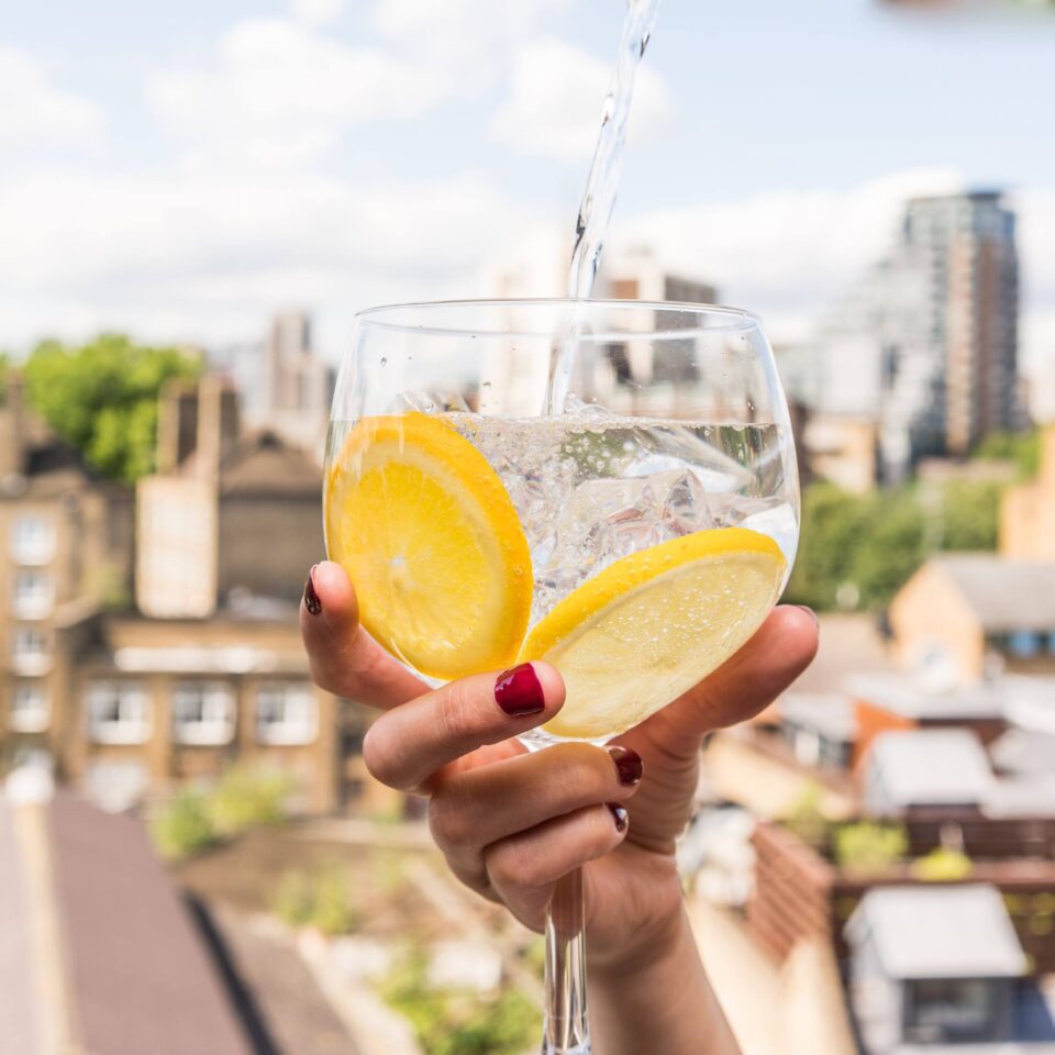 gin tonic