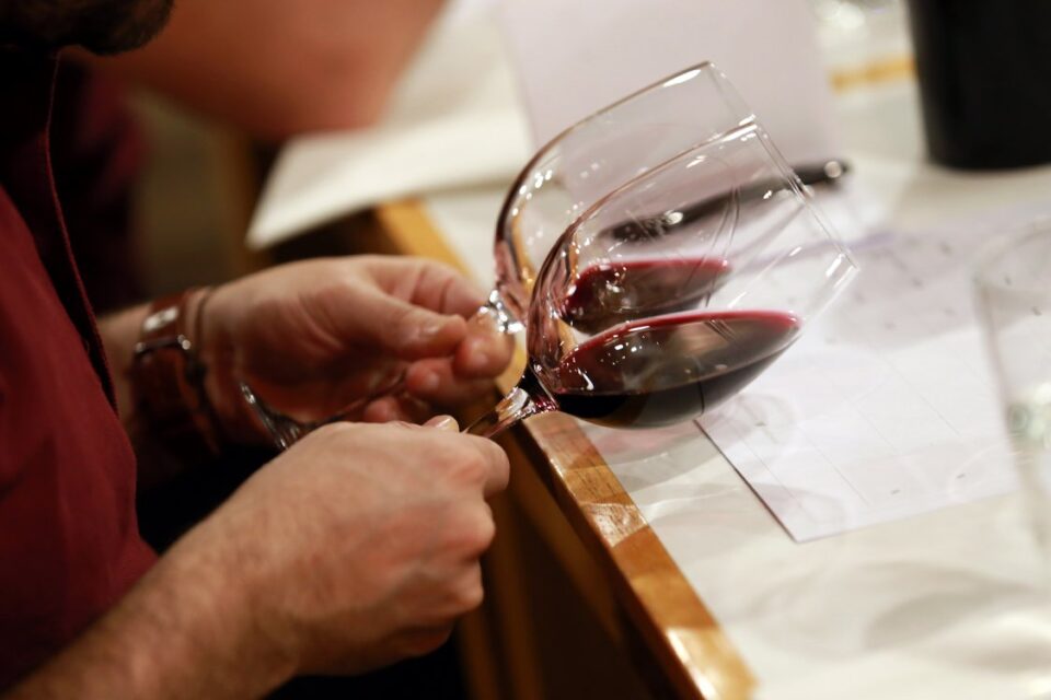 vinos argentinos
