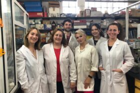 Científicos marplatenses estudian hongos que pueden beneficiar la producción agrícola