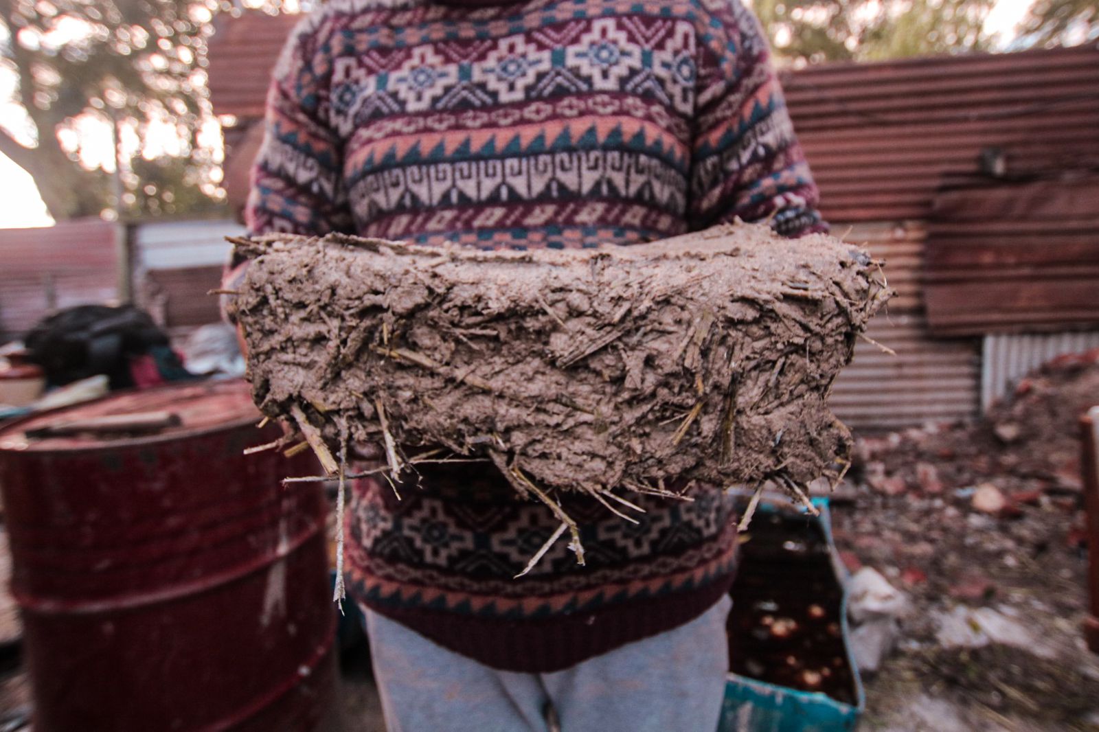 Noticias de Mar del Plata