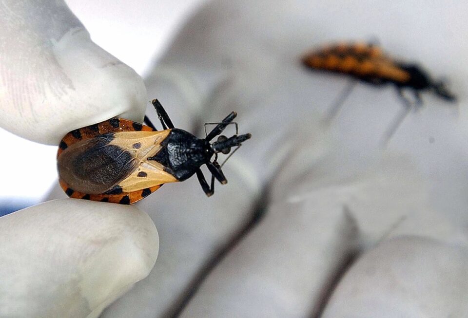 Mal de Chagas