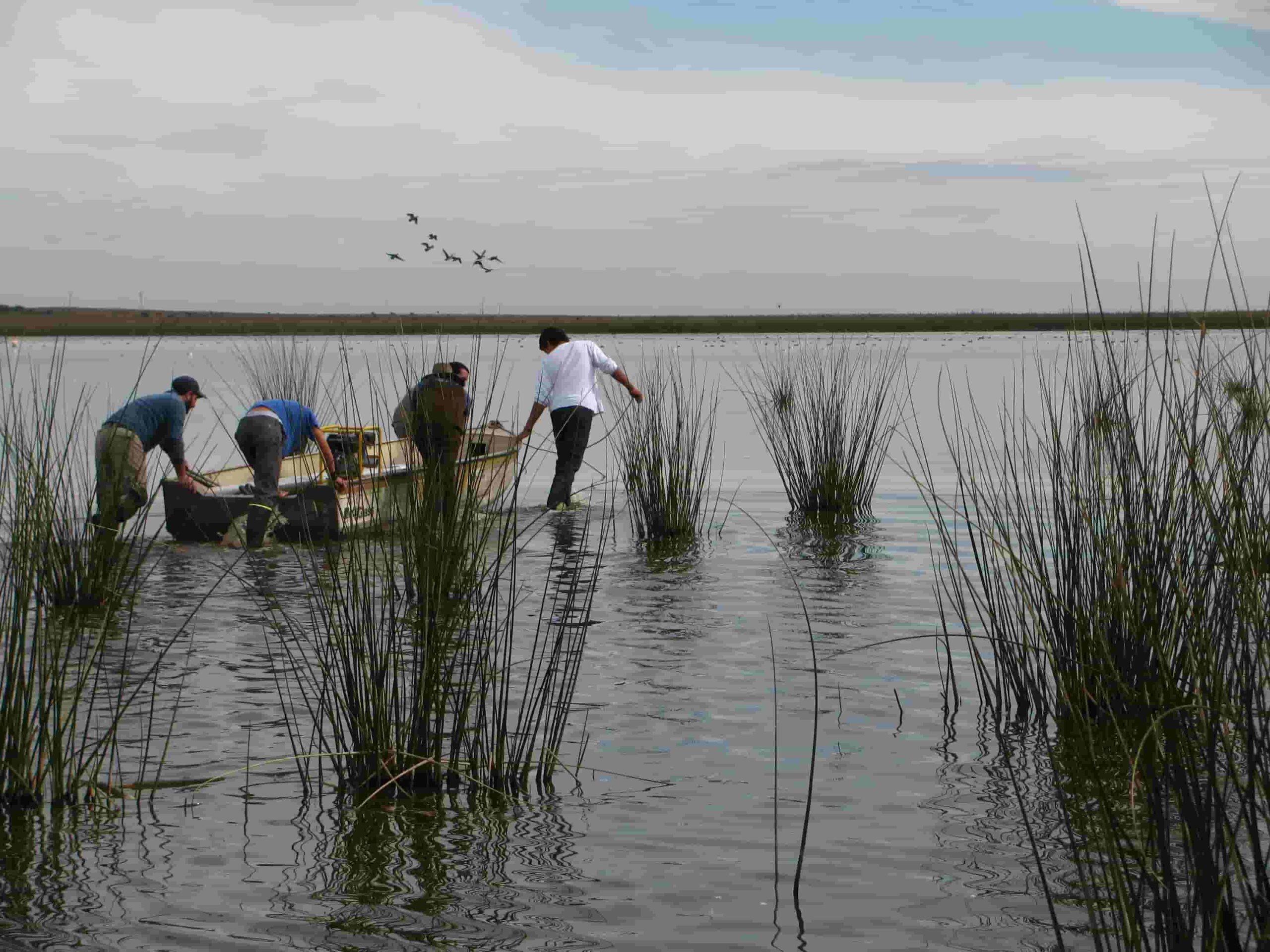 Noticias de Mar del Plata