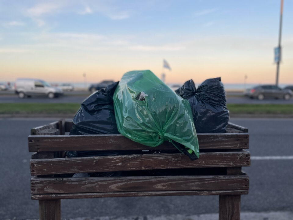 Noticias de Mar del Plata
