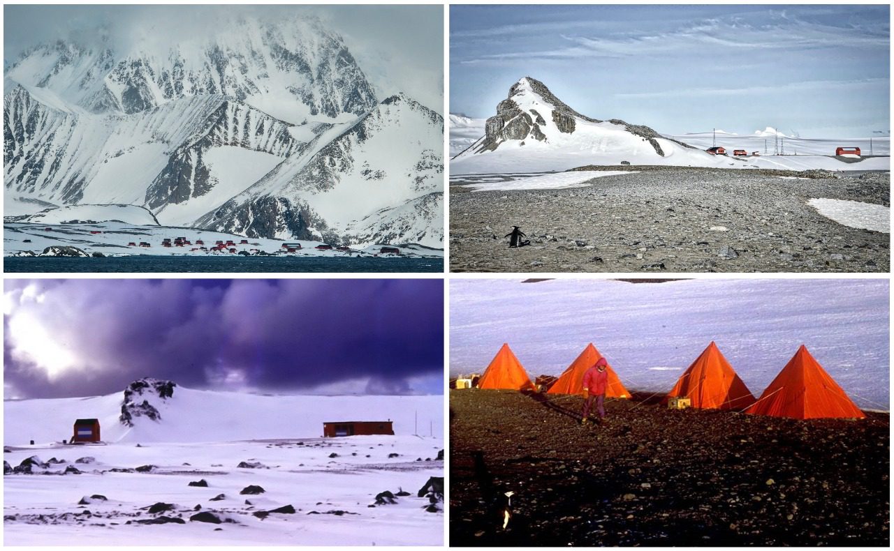 Marco Favero visita el continente antártico desde 1987.