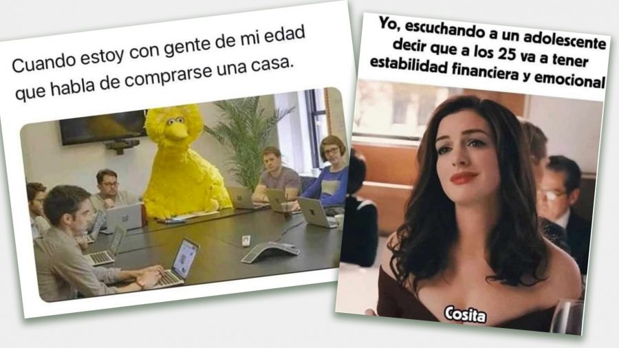 Noticias de Mar del Plata