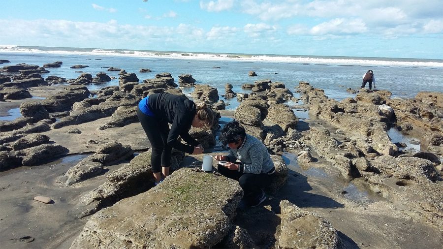 Noticias de Mar del Plata