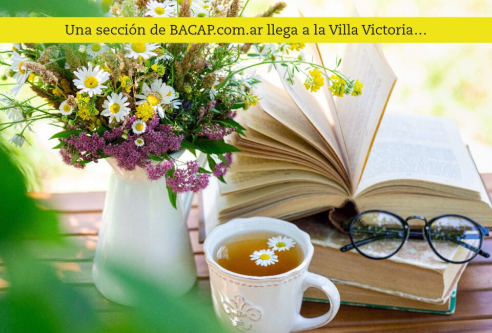 Noticias de Mar del Plata