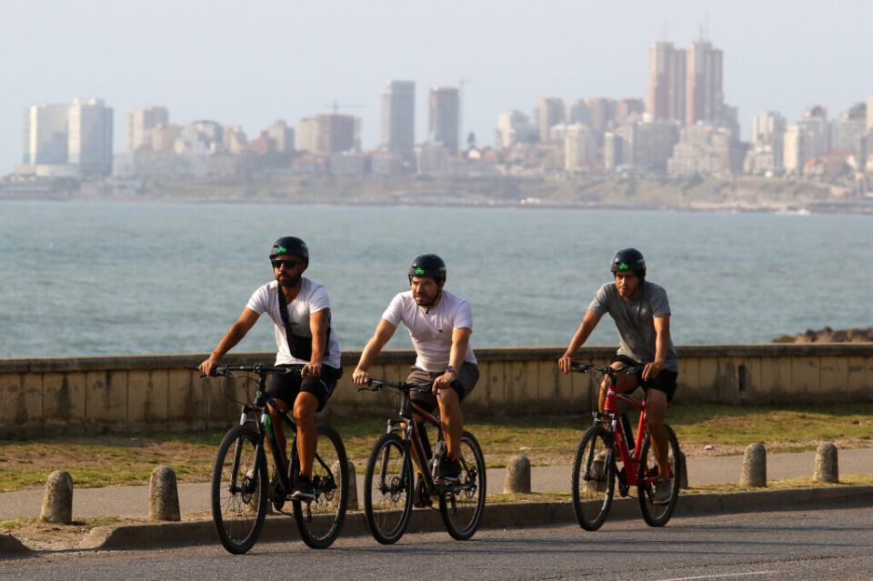 Noticias de Mar del Plata