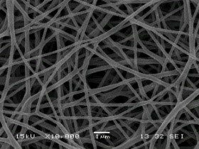 Un equipo científico de Mar del Plata trabaja en el desarrollo de apósitos de nanofibras con fotoprotectores naturales