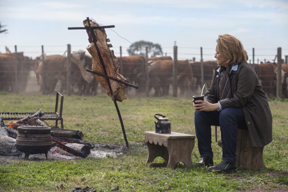 Bacap Noticias de Mar del Plata