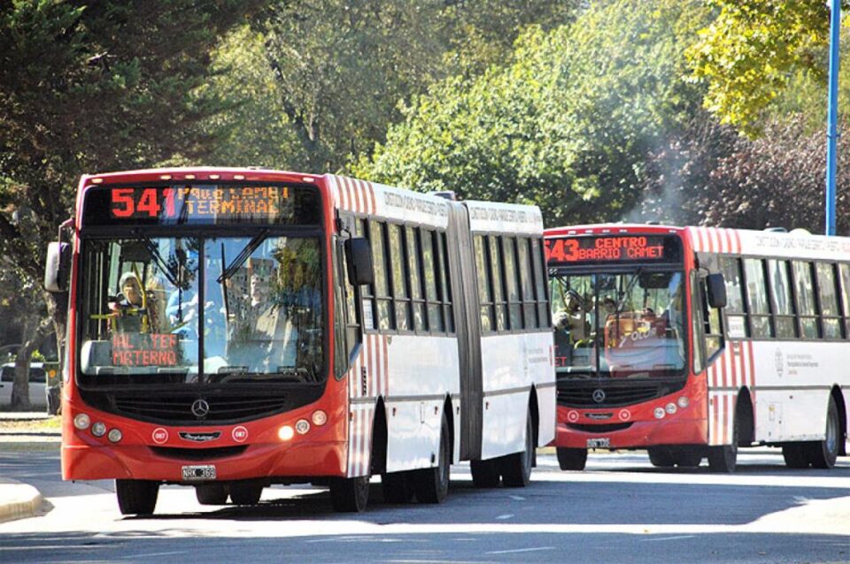 colectivos