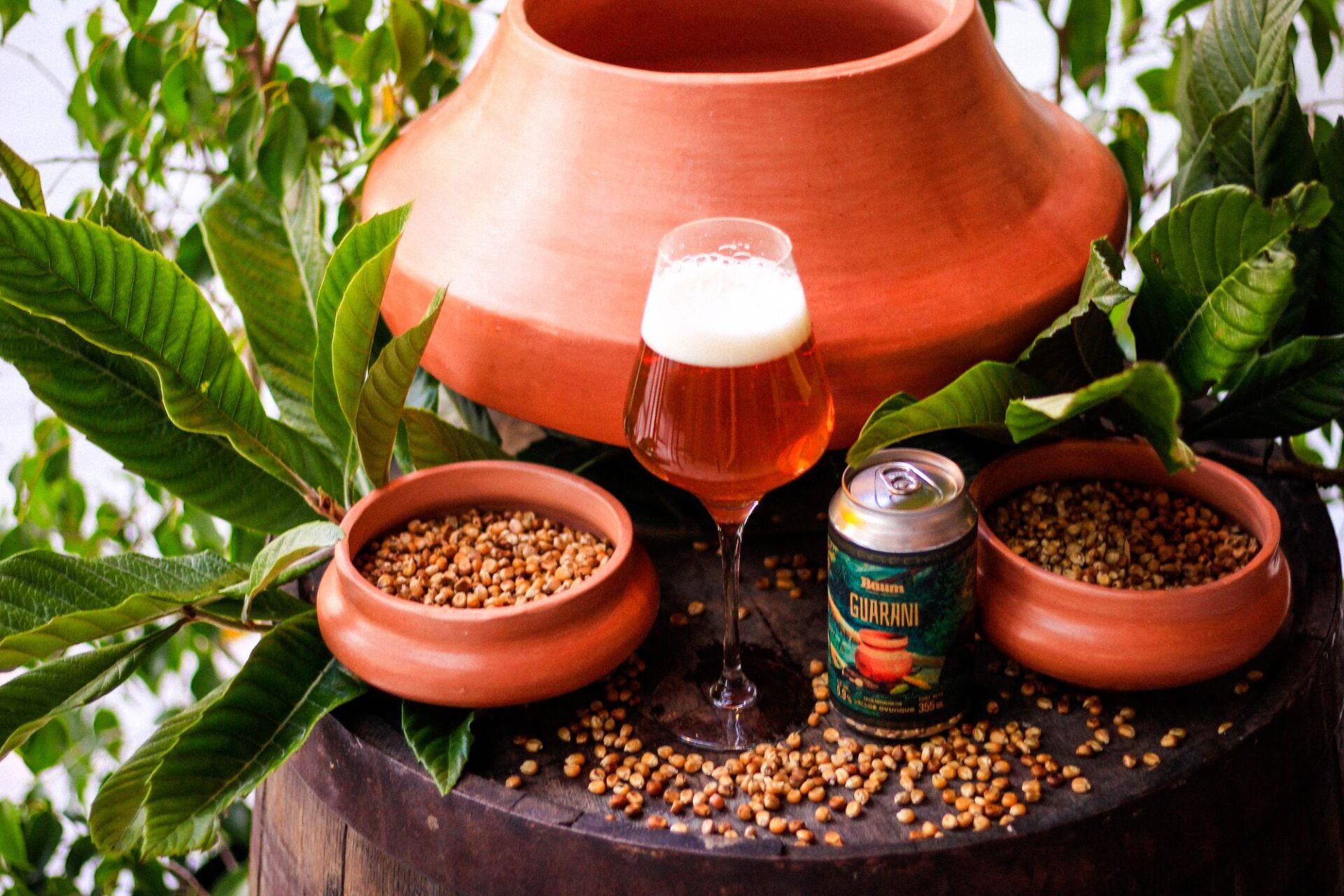 cerveza Guaraní Baum