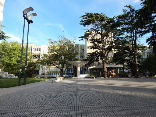UNMDP