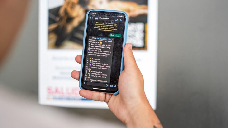 chatbot zoonosis