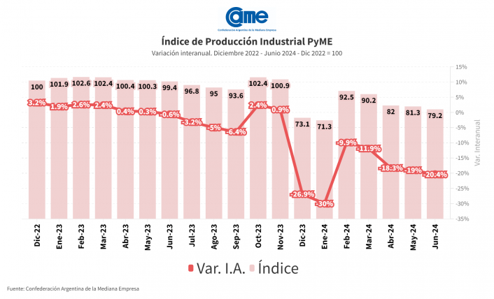 actividad industrial pyme