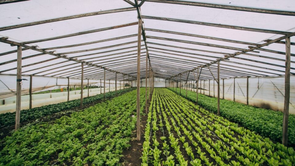 Capacitaciones para productores
