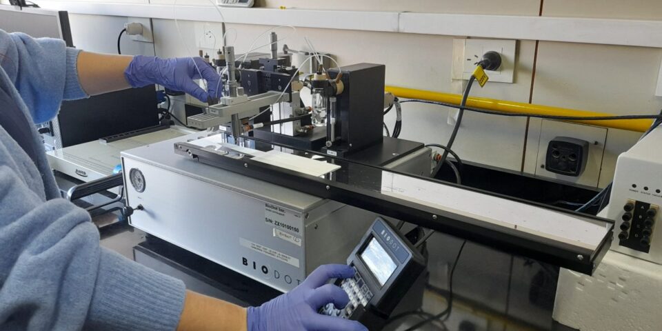 plataforma para desarrollar test rápidos de diagnóstico