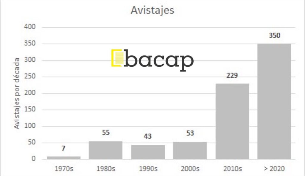 avistaje de ballenas