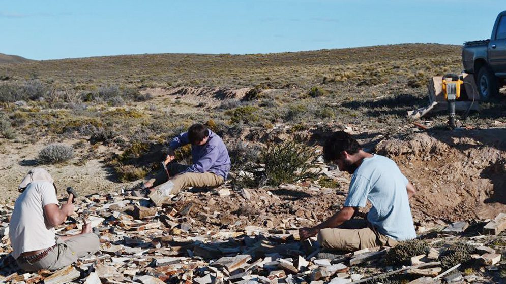 hallazgo huesos del renacuajo de Notobatrachus