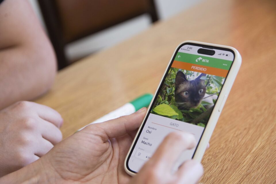app BETA