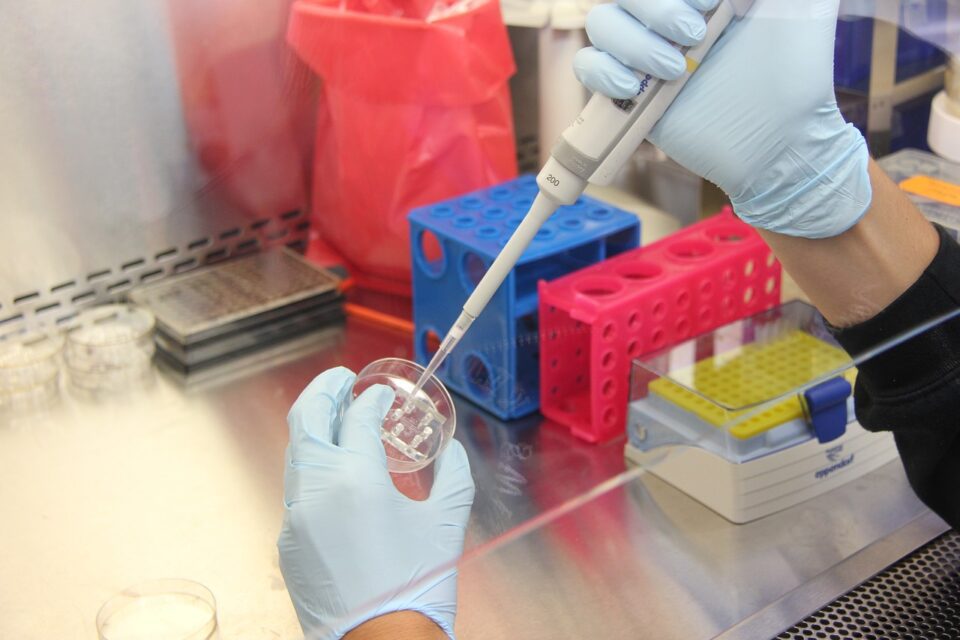 ciencia