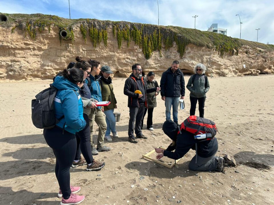 microplasticos