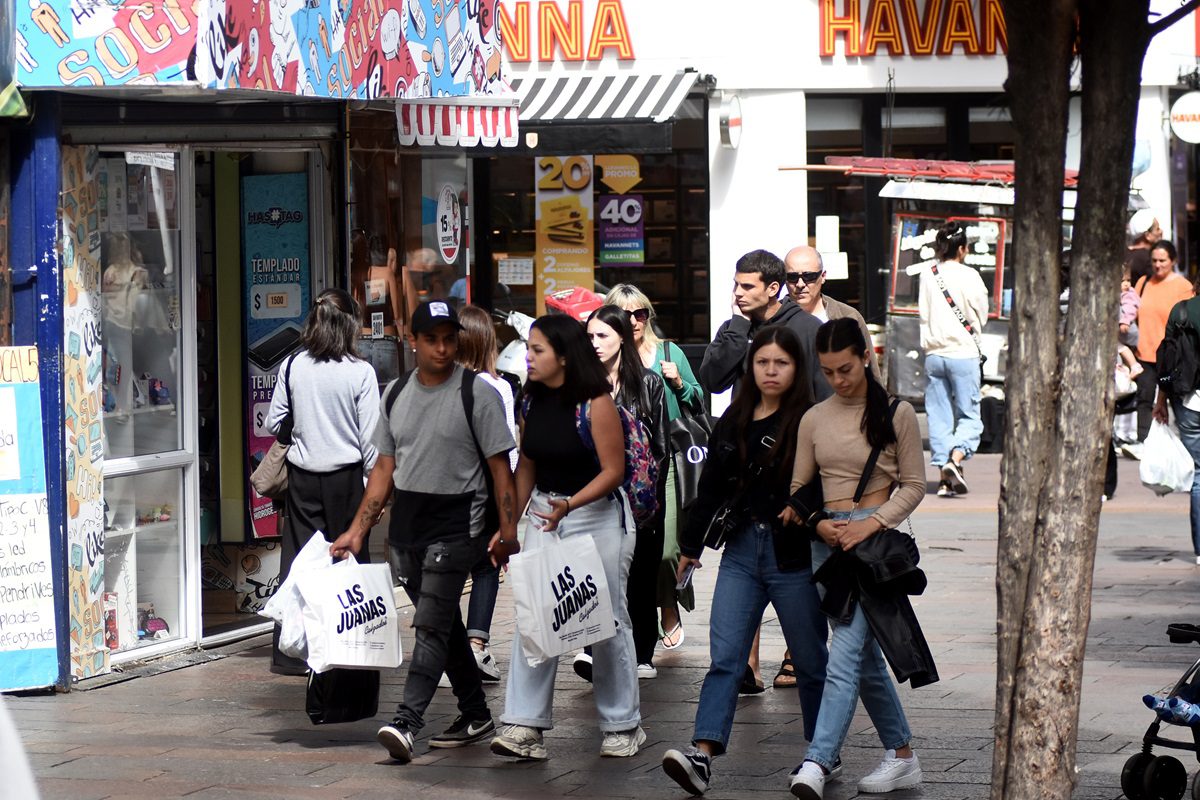 En noviembre, la ventas cayeron un 9,6 % interanual en Mar del Plata ...