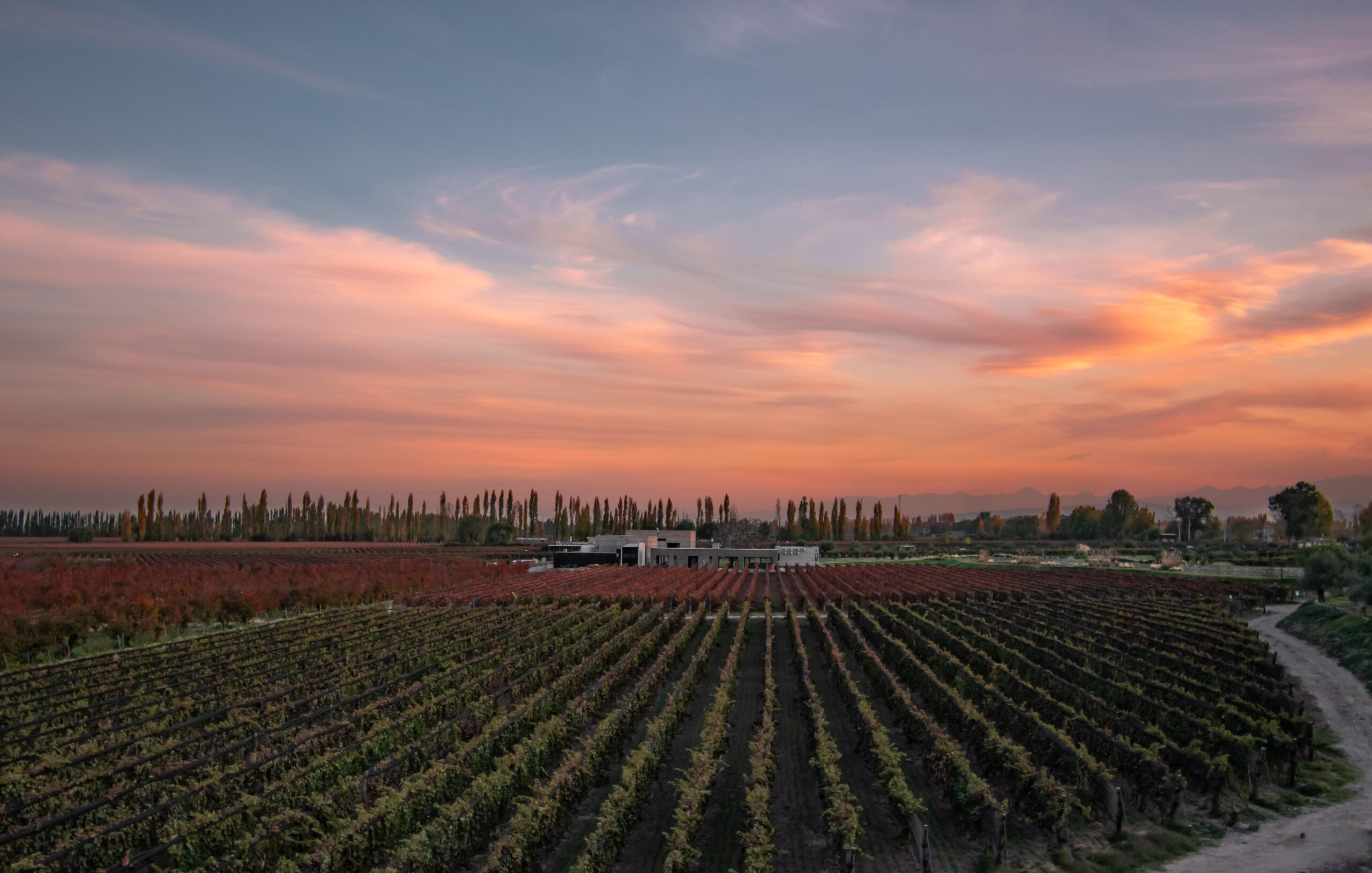 Ruta del Vino: las 10 mejores bodegas para visitar en Argentina