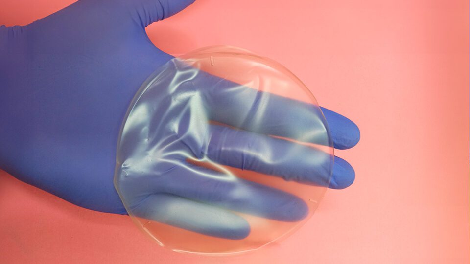 ciencia
