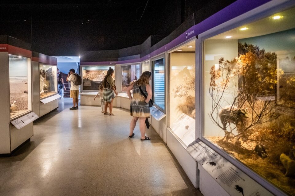 Museo Scaglia