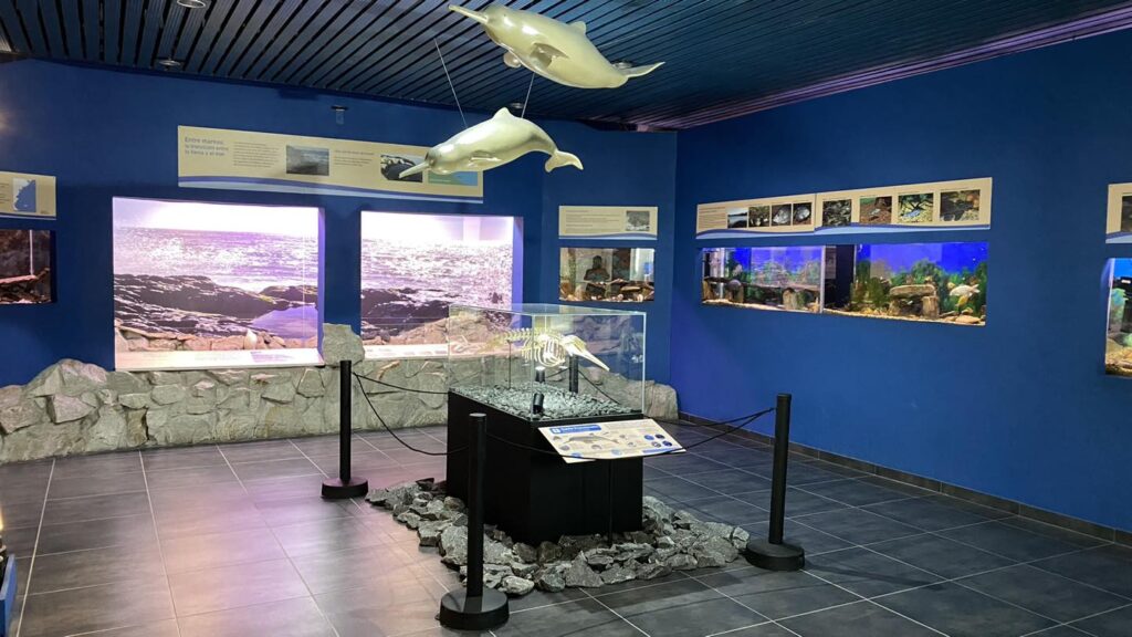 Acuario del Museo Scaglia