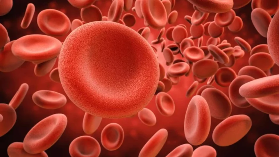 leucemia