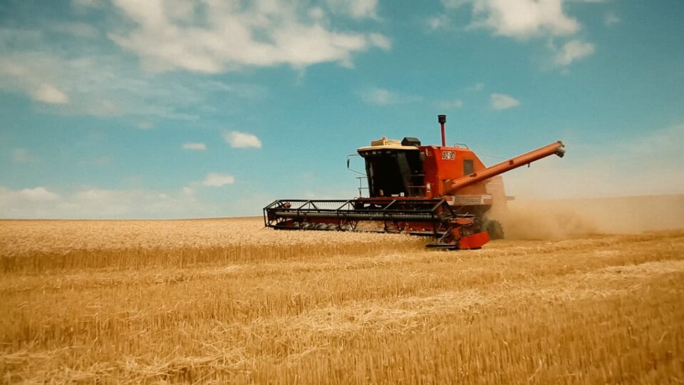agricultura