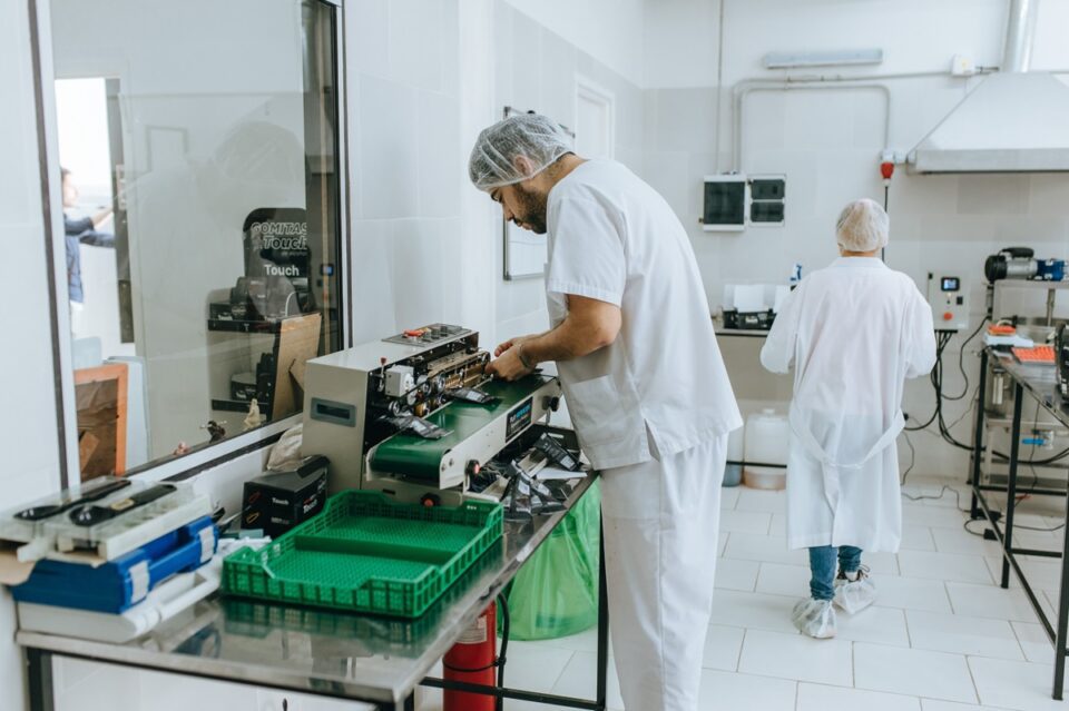 empleo en Mar del Plata