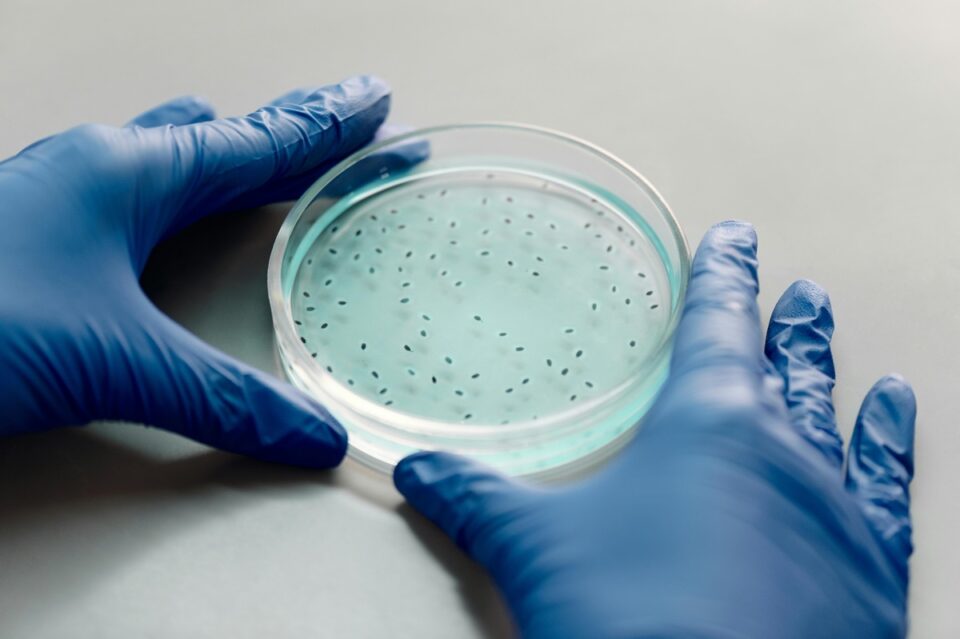 bacterias