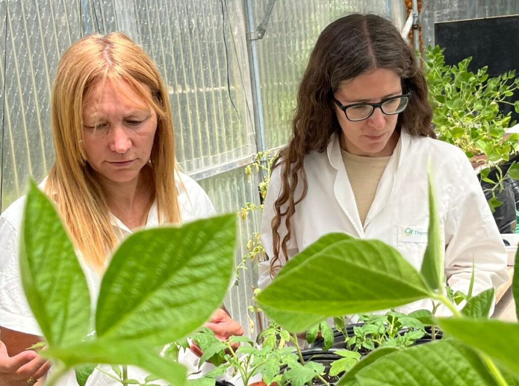 startup ThermoReLeaf