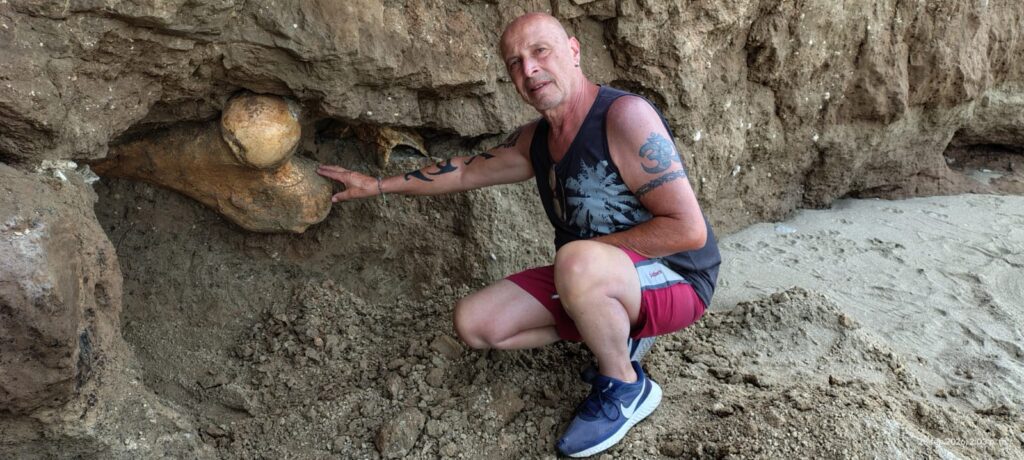 hallazgo paleontológico