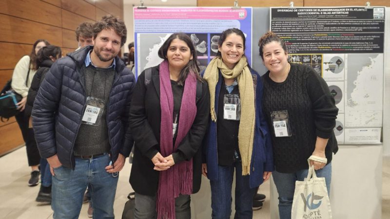 investigadores IIMyC