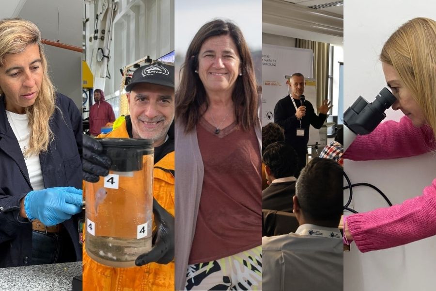 investigadores marplatenses