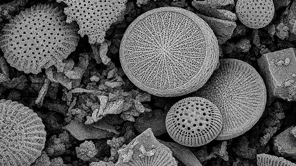 Materiales adsorbentes  